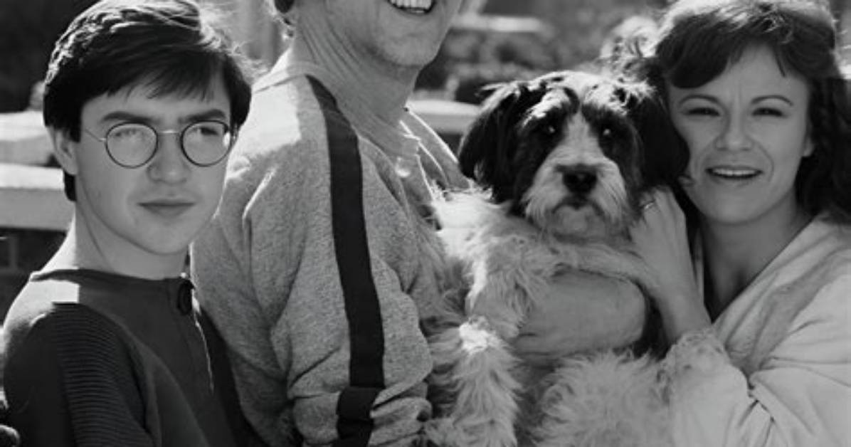 A Comprehensive Guide to Julie Walters' Memorable Film Performances