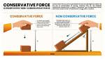 A Conservative Force in the Shadows