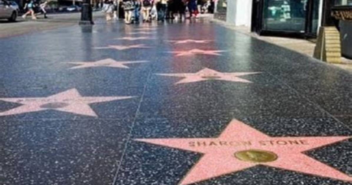 A Hollywood Star on the Rise