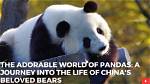 A Journey into His Adorable World