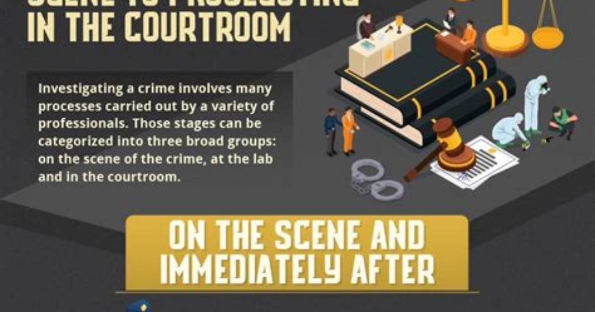 A Journey into Justice and Investigations
