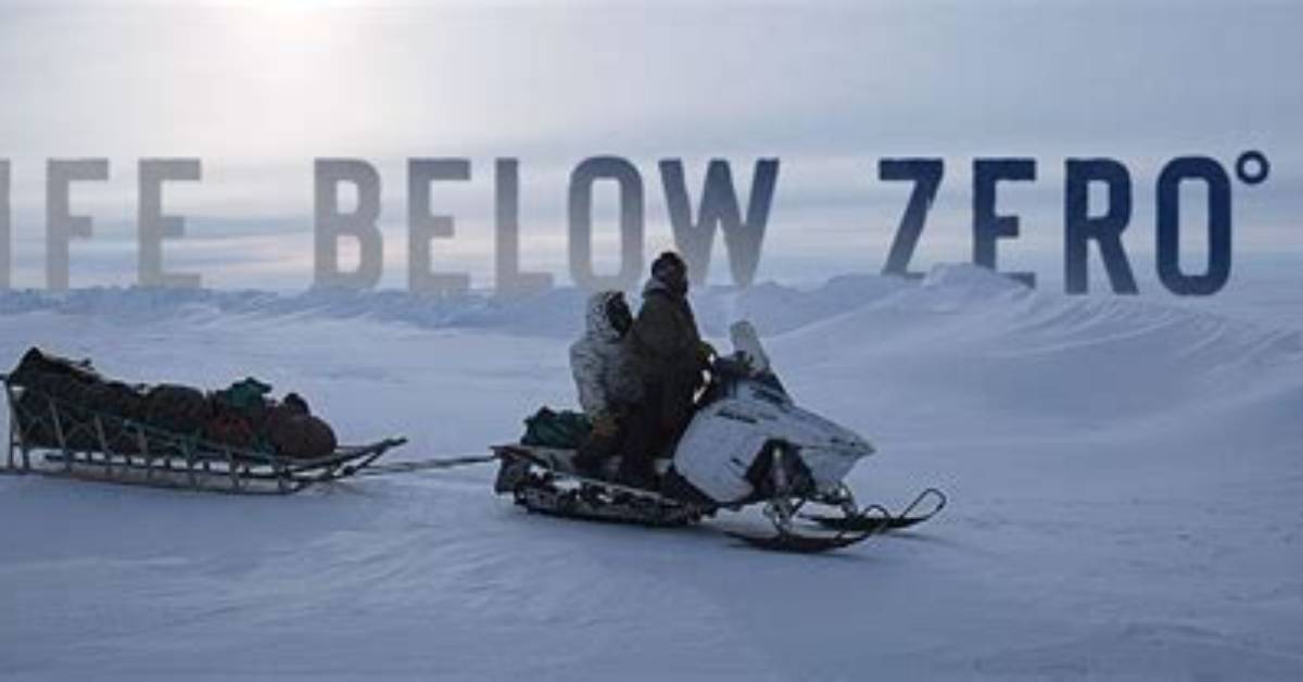 A Journey into Life Below Zero