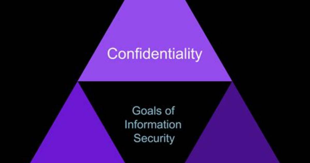 A Journey into Privacy, Authenticity, and Public Image
