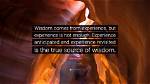 A Journey of Experience and Wisdom