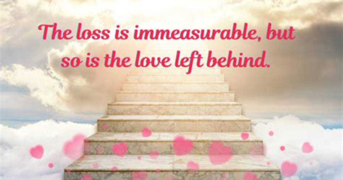 A Journey of Love, Loss, and New Beginnings