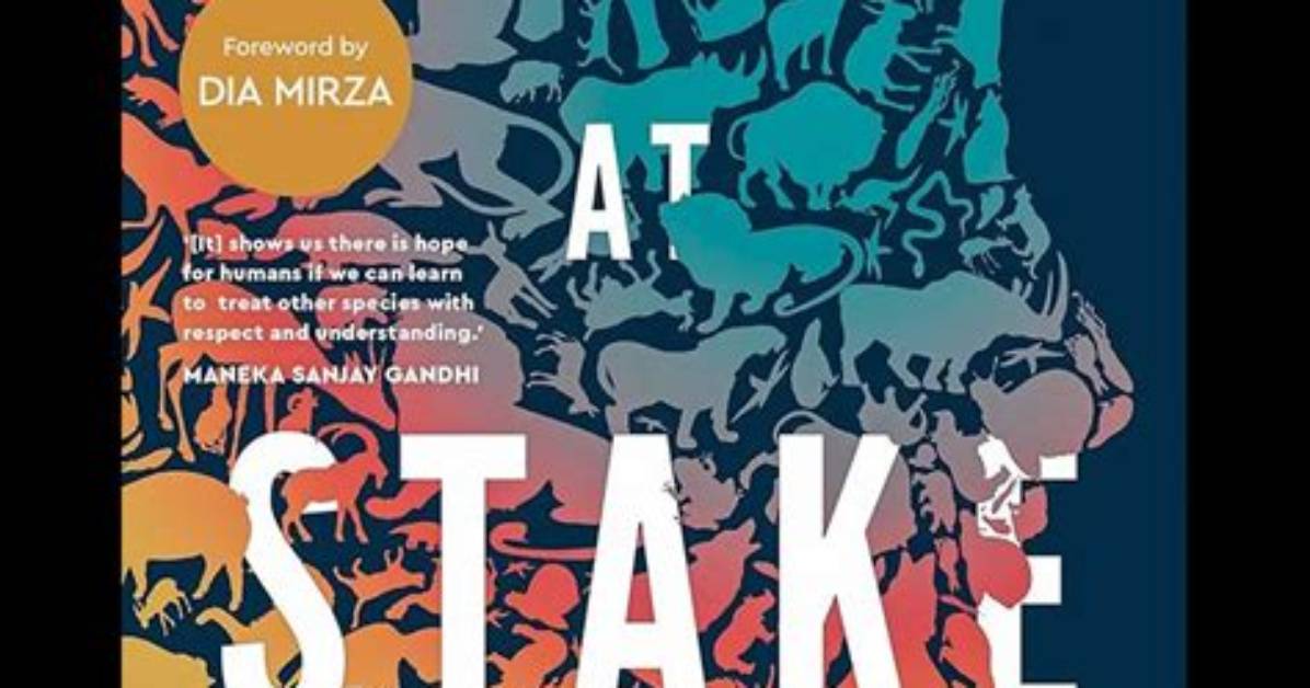A Journey of Survival, Morality, and Relationships