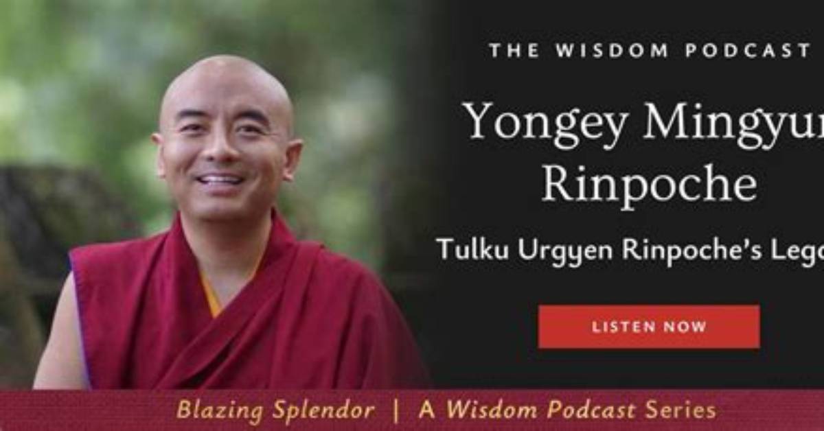A Journey of Wisdom, Impact, and Legacy