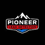 A Pioneer in Leak Detection