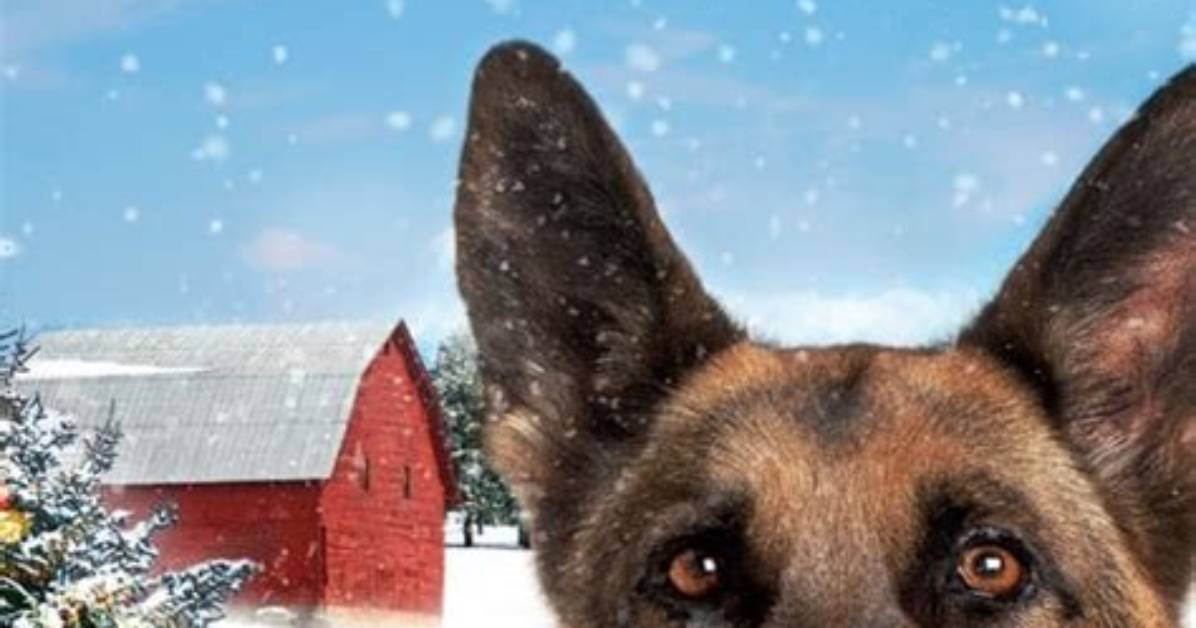 A Tale of Courage and Canine Companionship