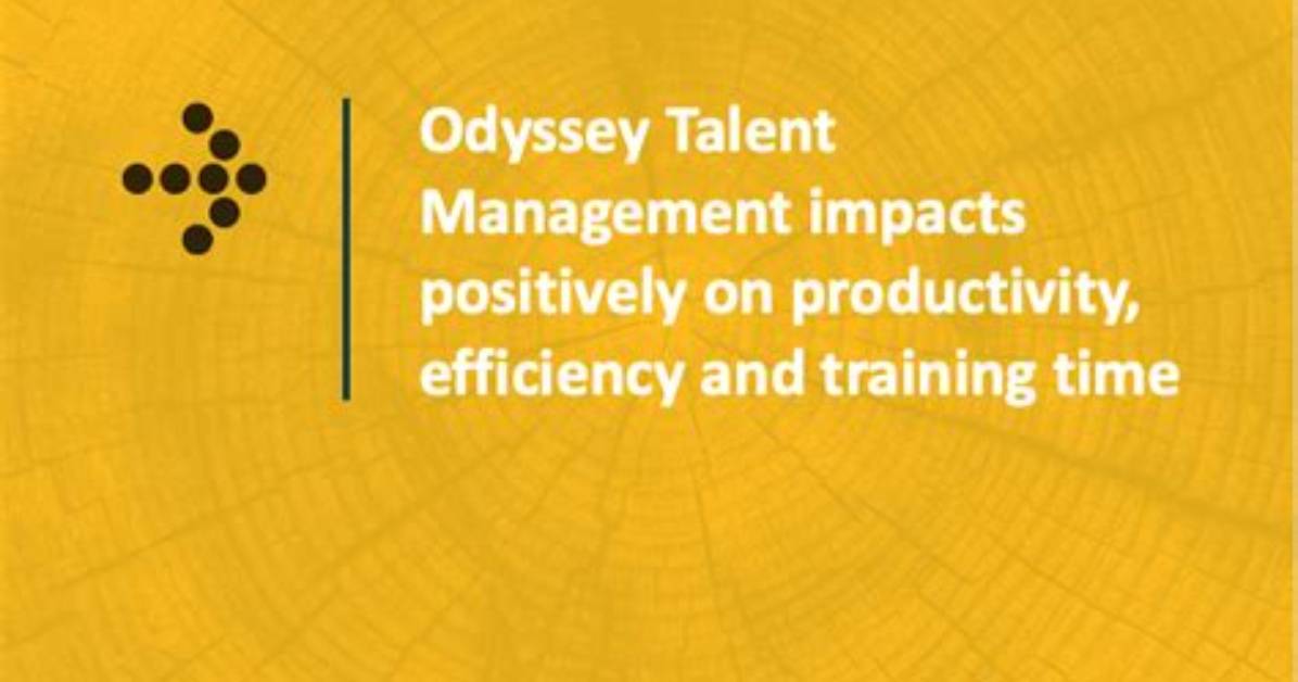A Wikipedia Odyssey of Talent and Impact