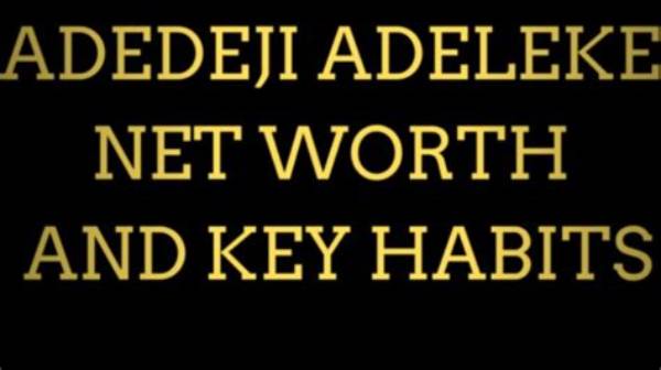 Adelekes' Wealth: an Insight into Adeleke Net Worth 2023