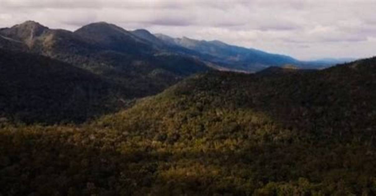 After 4 Days in Dense Forest, Tn Youth Back Home Safe
