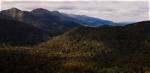 After 4 Days in Dense Forest, Tn Youth Back Home Safe