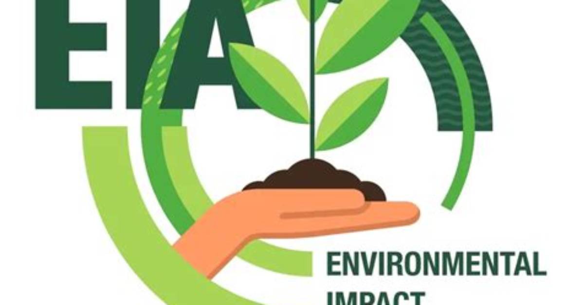 Age, Agency, and Environmental Impact