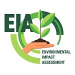 Age, Agency, and Environmental Impact