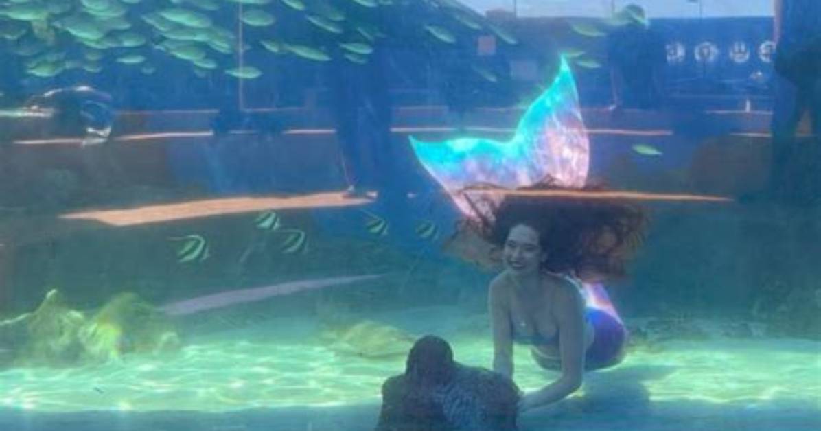 Aquashowgirls: the Enchanting World of Aquatic Performers
