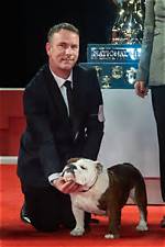 "Banging the Bulldog 2022" Discoveries and Insights