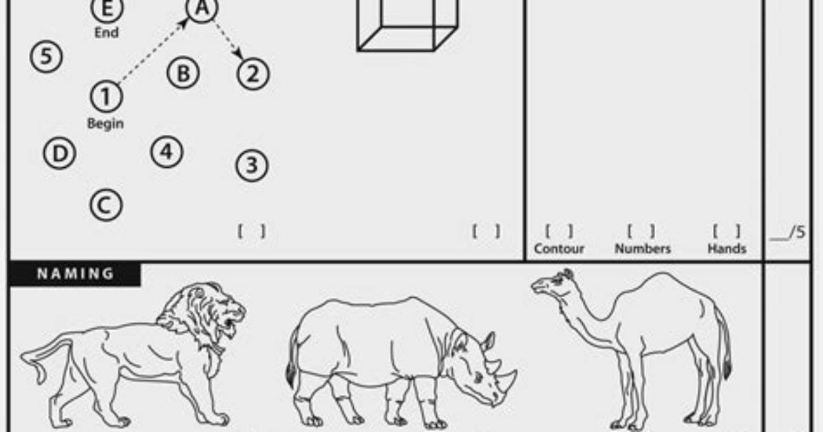 Barron's Iq Test: Trump's Cognitive Abilities Analyzed
