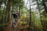 Bellingham Descent: Discover the Thrills of Mountain Biking in Washington State