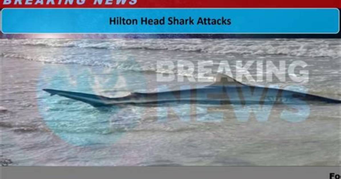 Beware: Hilton Head Island's Shark Attacks