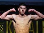 Bivol's Towering Height: How Tall Do These Mighty Animals Get?