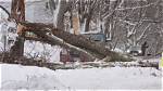 Blizzard Aftermath: Pennsylvania Prepares for Recovery