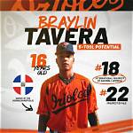 Braylin Tavera and His Impact on the Mlb