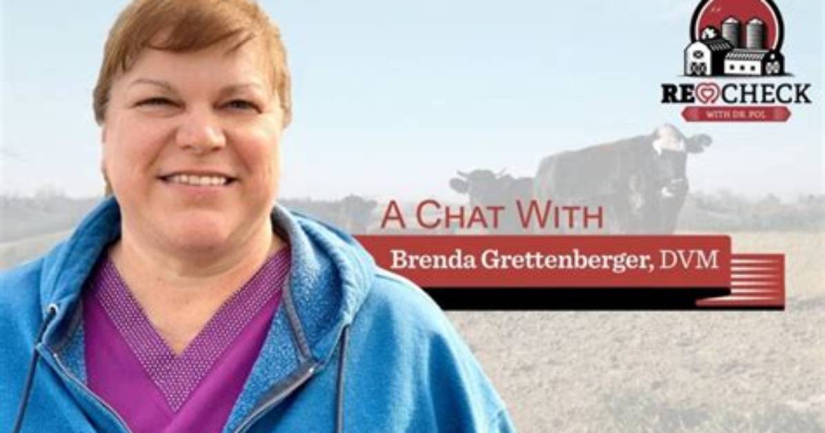 Brenda Grettenberger Height, Weight, Net Worth, Age, Birthday, Wikipedia, Who, Nationality, Biography