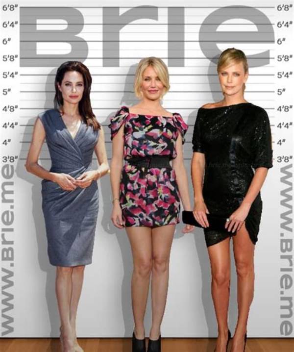 Cameron Diaz Height: the Impact of Stature in Hollywood