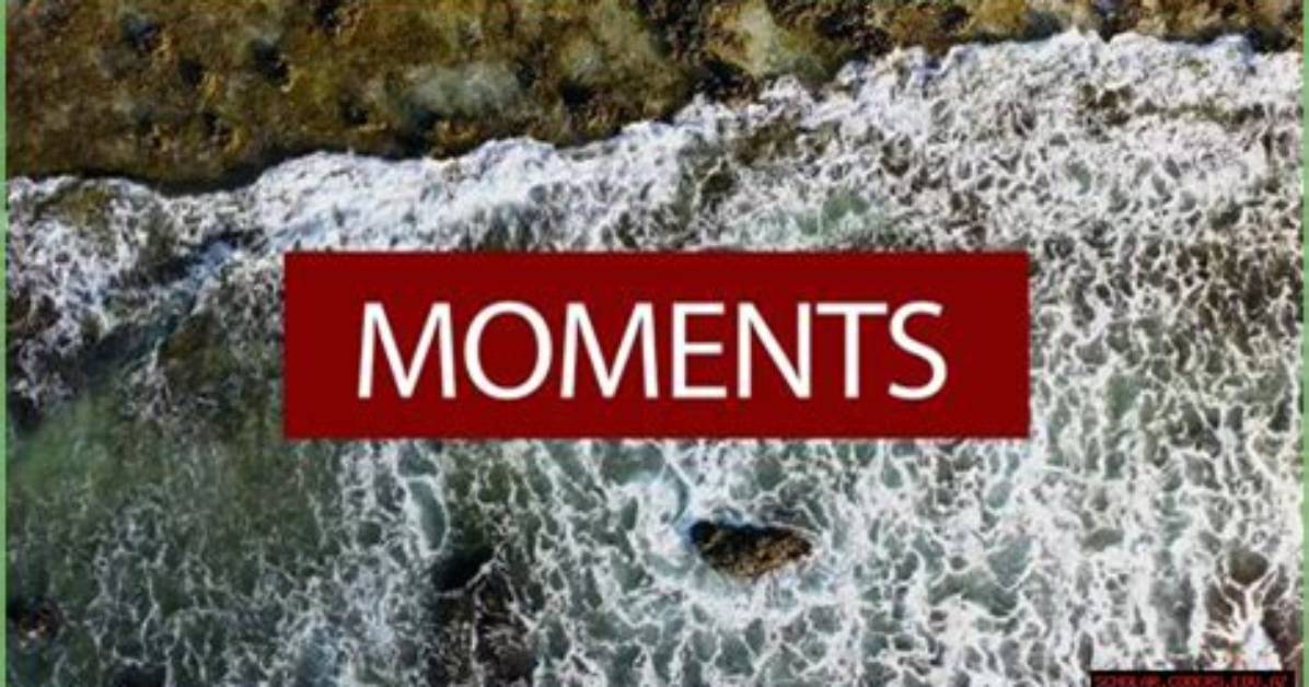 Capturing Moments: the Art of Hisashi Photography