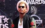 Chris Brown Net Worth: Riches and Fame - Explored