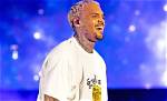 Chris Brown's Astounding Net Worth: Unveiling the Superstar's Fortune