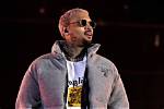 Chris Brown's Monumental Net Worth Revealed in 2023