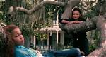 Cinematic Journey of Cisely Saldana: Exploring Captivating Roles