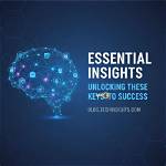 Comprehensive Nikicat Soru: Unlocking Essential Insights