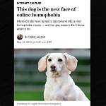 Controversial Homophobic Dog Meme Sparks Outrage