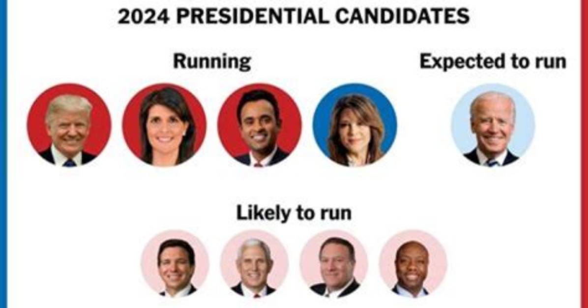 Could Krist Novoselic Be the Next President in 2024?