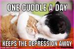 Cuddle Memes: the Ultimate Source of Cozy Vibes