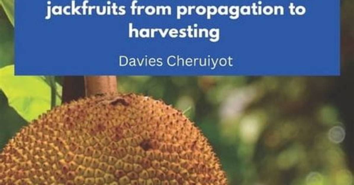 David Nguyen's Guide to Jackfruits: Everything You Need to Know