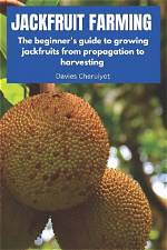 David Nguyen's Guide to Jackfruits: Everything You Need to Know