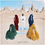 Davido's Financial Journey: Exploring His Net Worth in Dollar 2024