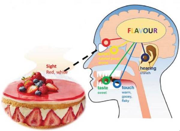 Decoding the Flavor: What Does a Burger and a Grape Snow Cone Mean?