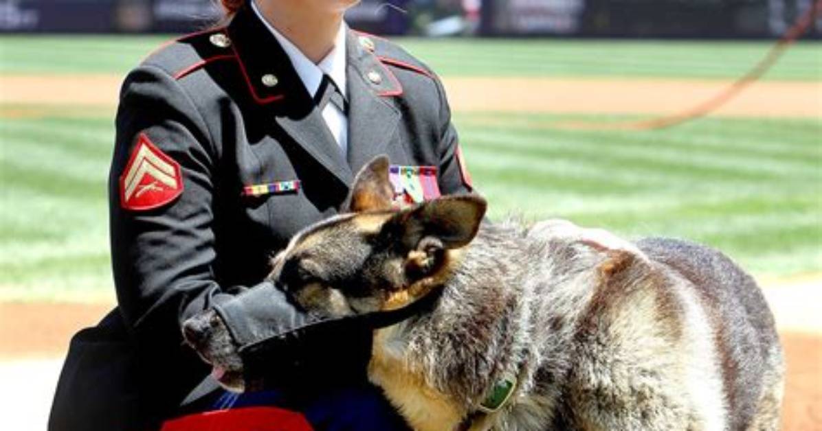 Did Megan Leavey's Canine Companion Bring Her Love and Marriage?