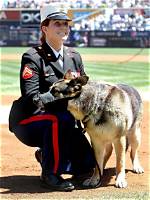 Did Megan Leavey's Canine Companion Bring Her Love and Marriage?