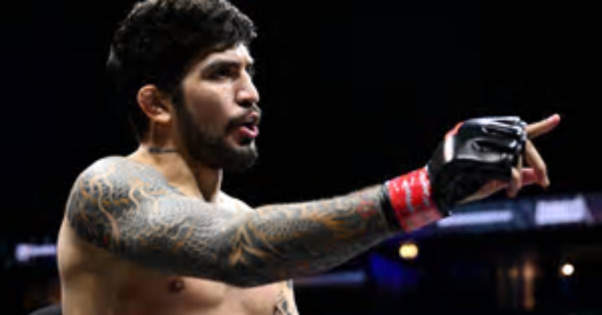 Dillon Danis: a Portrait of the Mma Star