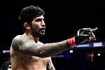 Dillon Danis: a Portrait of the Mma Star