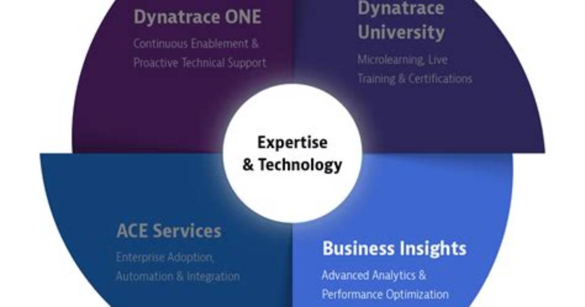 Discover the Expertise and Insights of Business Leader Denilson Hidalgo Orozco