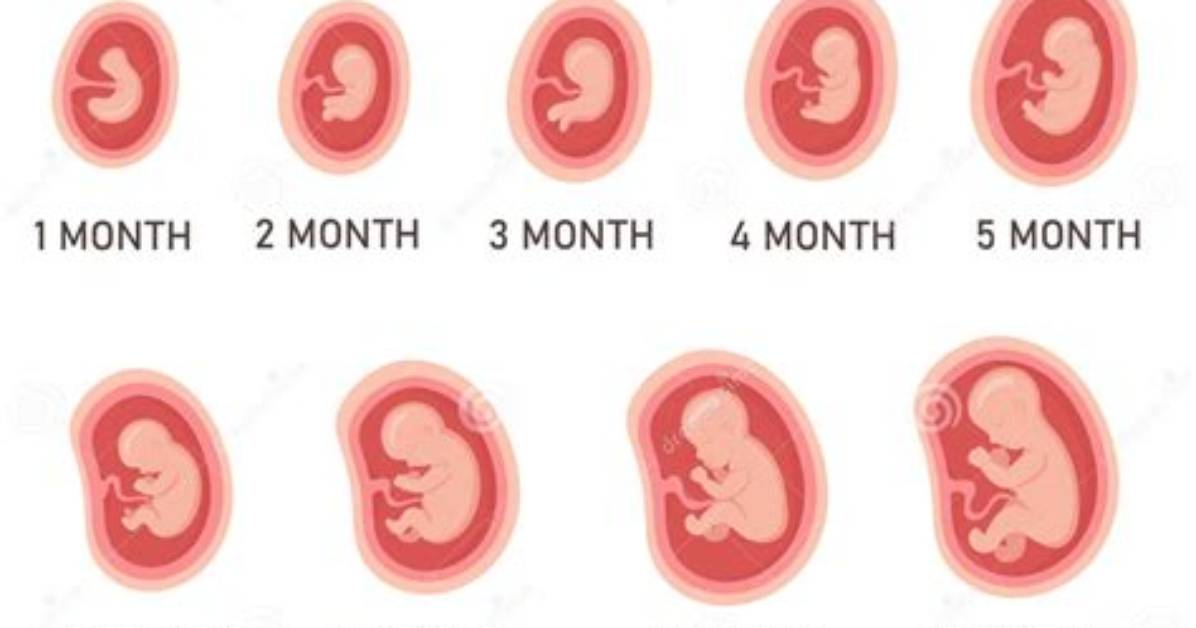 Discover the Secrets of Pregnancy 9 Months Before March