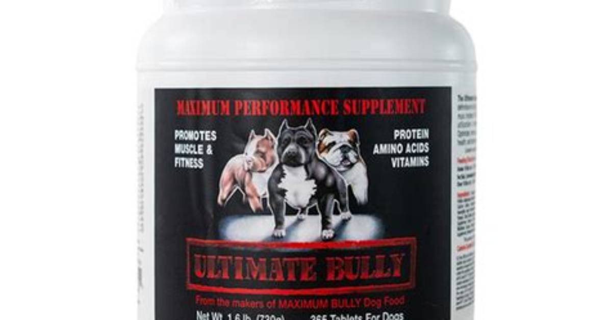 Discover the Ultimate Bully Video Kum: Your Guide to Bully Domination