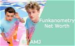 Discover Your Funkanometry Net Worth
